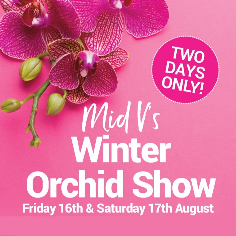 Winter Orchid Show